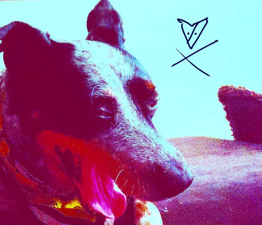 SrV Satchmo Bebop Teddy Bear