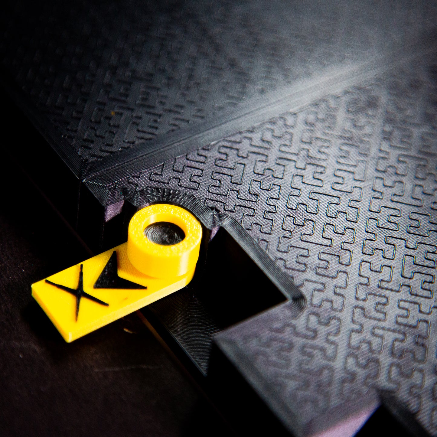 "DeNom Angie" - kB Echo Frame, Nascent Edition, The First Batch