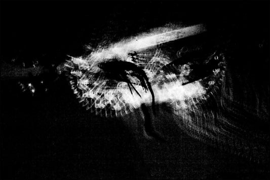 Fx 003 - The Wolf