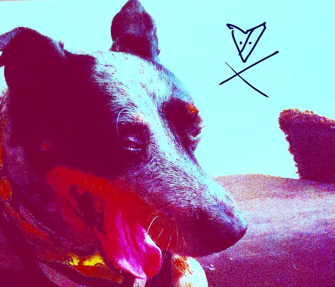 SrV Satchmo Bebop Teddy Bear