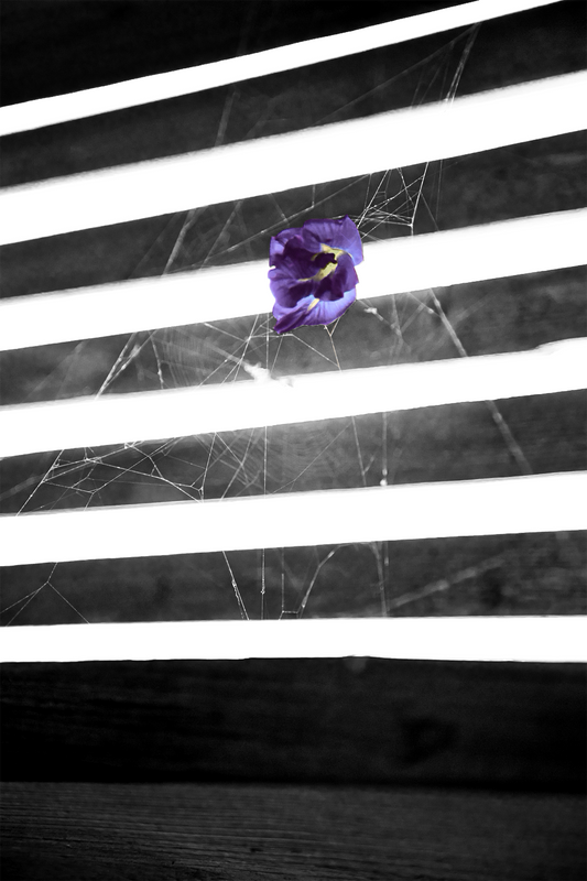 Fx 011 - Spoils of Endearment